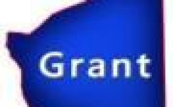Grant County Wisconsin Homes for Sale
