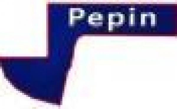 Pepin County Wisconsin Homes for Sale